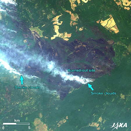 Forest Fires in the South of Nizhniy Novgorod