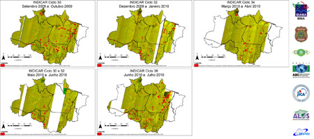 Results of forest logging in the Amazon rainforest, Brazil.