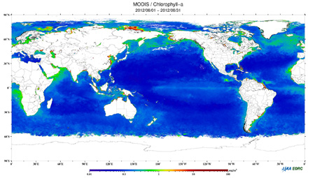 Monthly mean image of phytoplankton (chlorophyll-a) concentration in August 2012.