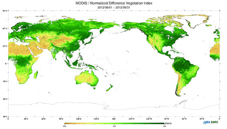 Cloud-free color composite Normalized Difference of Vegetation Index (NDVI: 0.0~1.0) image of monthly mean index derived from data obtained during August 2012, which shows vegetation cover. 