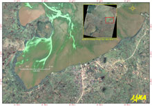 Community of aqua plants covering the surface water of Homa Bay(True Color image)