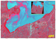 Community of aqua plants covering the surface water of Homa Bay(False Color image)