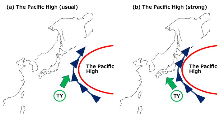 Conceptual diagram showing the relation between typhoon tracks and Pacific high.