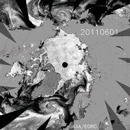 AMSR-E輝度温度で見る今年の海氷の動き(2011.6.1-9.14)