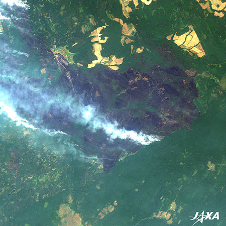 ニジニノブゴロド南部の森林火災