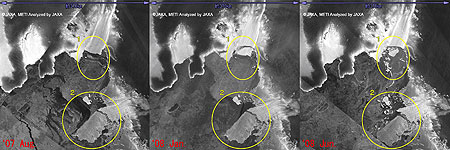 パインアイランド氷河の海岸部での変化