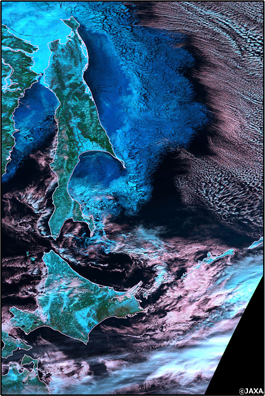 しきさいが1月17日に撮影したオホーツク海周辺の疑似カラー画像