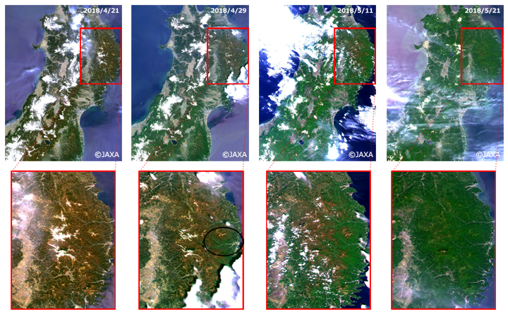 「しきさい」による東北地方のカラー合成画像（上図）。SGLIの赤(VN08: 673.5nm)・緑(VN06: 565nm)・青(VN03: 443nm)のチャンネルの観測データをそれぞれR・G・Bに割り当てた。下図は北上山地付近の拡大図で、季節が進むにつれて高山域でも徐々に展葉が進んでいく様子が分かる。