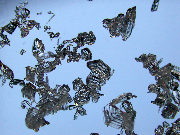 雪結晶の顕微鏡写真