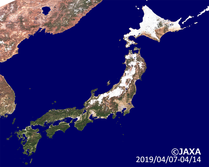 「しきさい」搭載のSGLIによる2019年4月から5月にかけての観測データから作成した日本列島のカラー合成画像。8日間隔の動画を作成した。