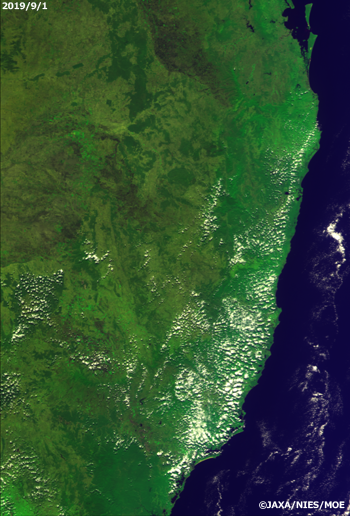 「いぶき（GOSAT）」搭載のCAIによるオーストラリア東部のRGB合成画像(2019年9月1日)