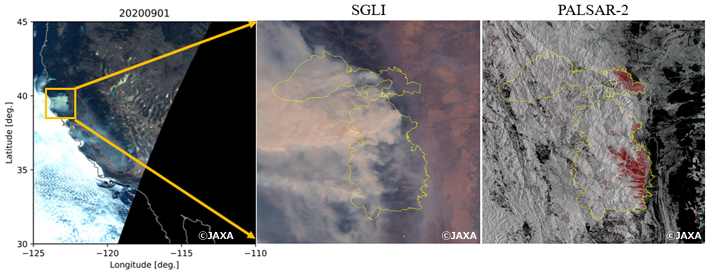2020年9月1日における火災域の可視画像とPALSAR-2画像の比較