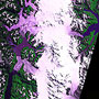 南米、パタゴニアの巨大氷河が大きく後退(その3) サムネイル画像
