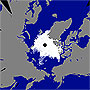 北極海の海氷　過去2番目の小ささに肉薄 サムネイル画像