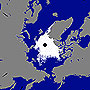 北極海氷の面積 観測史上2位の小ささに（密接度は過去最小） サムネイル画像
