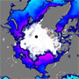 北極海の9月の海氷面積：観測史上初めて5年を超えて最小記録を更新せず サムネイル画像