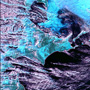 しきさいが捉えたオホーツク海の流氷到来 サムネイル画像
