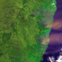 宇宙から見たオーストラリアの大規模森林火災 サムネイル画像