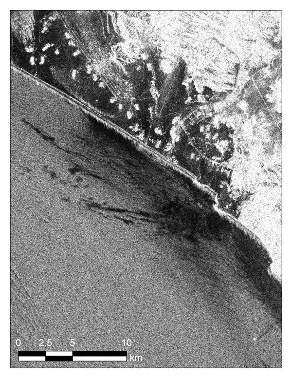 トンガ火山噴火起因の津波によるペルー沖油流出事故の「だいち2号」観測 サムネイル画像