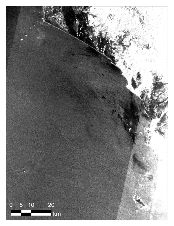 トンガ火山噴火起因の津波によるペルー沖油流出事故の「だいち2号」観測（続報） サムネイル画像