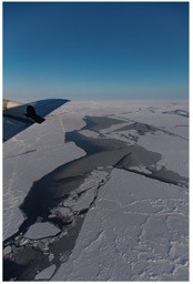 近年の世界的な気温上昇に伴う急速な海氷域の減少 サムネイル画像
