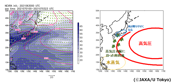 （左）高解像度NEXRAの風速、積算水蒸気量、海面気圧（6月30日00UTCを初期値とした予測値で、7月1日00UTC～3日23UTCまでの平均）。矢印は高度10mの風（m/s）、色は積算水蒸気量（kg/m2）、赤線は海面気圧（hPa）。（右）高解像度NEXRAと「しずく」衛星データから考察した、7月上旬の梅雨前線に伴う大雨の概念図。